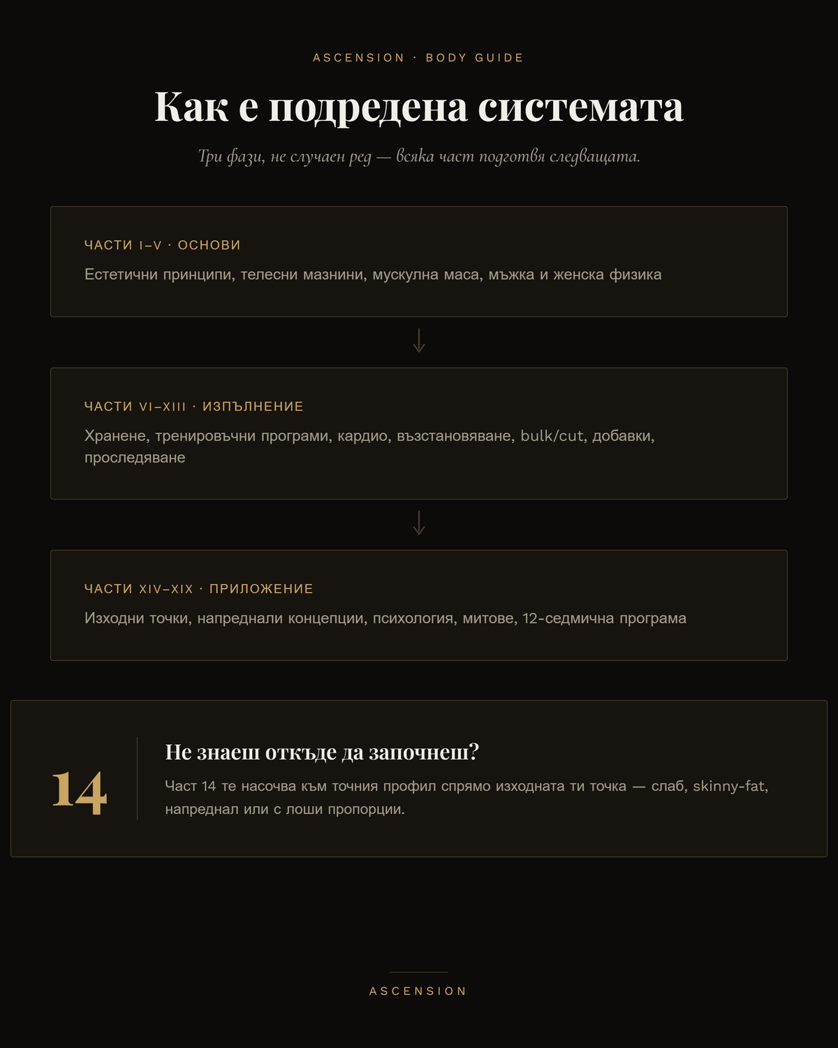 ASCENSION Тяло